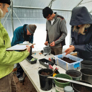 Polytunnel Winter Seed Sowing Workshop 800x800